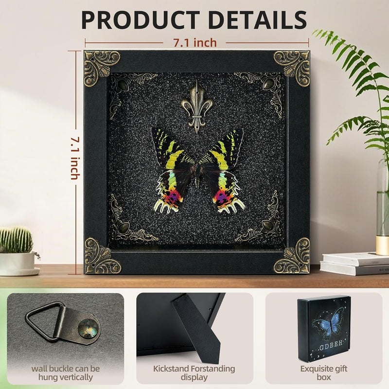 GDBEH Real Butterfly Framed Handmade - Taxidermy Butterfly Shadow Box - Real Framed Butterflies in a Box for Gothic Home Decor Aesthetic. (Madagascan Sunset Moth) - Image 2